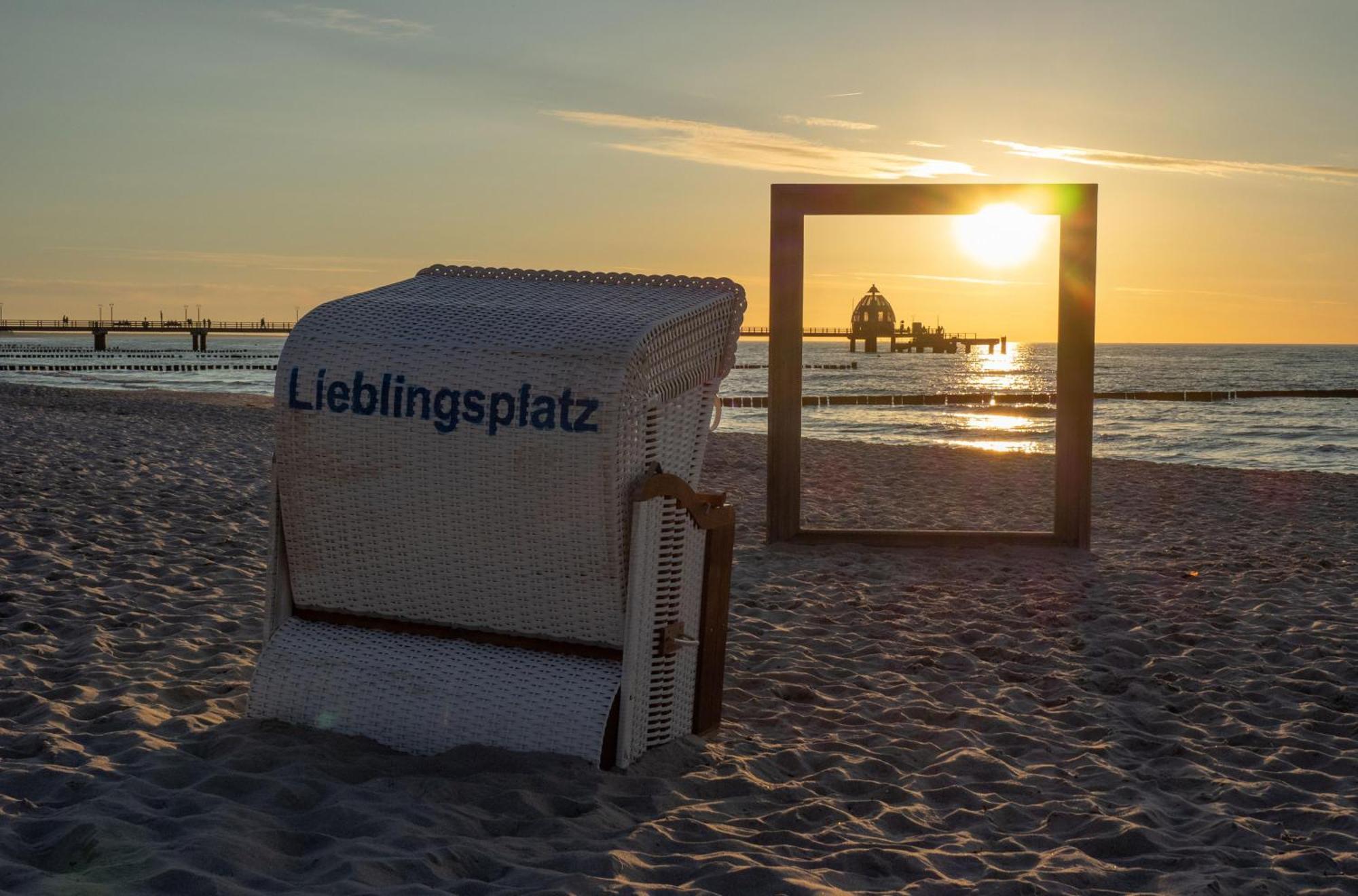 Seehund an der Ostsee Ostseeheilbad Ostseeheilbad Zingst Exterior foto