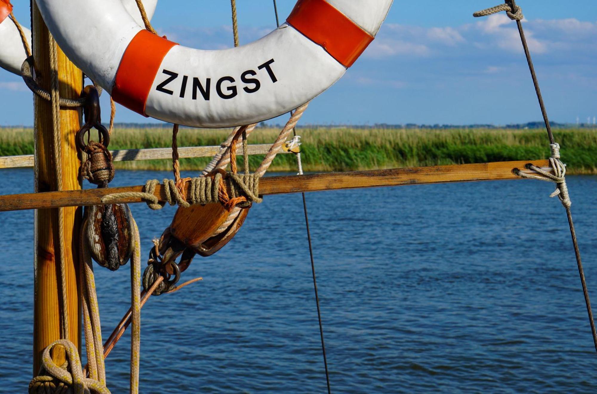 Seehund an der Ostsee Ostseeheilbad Ostseeheilbad Zingst Exterior foto