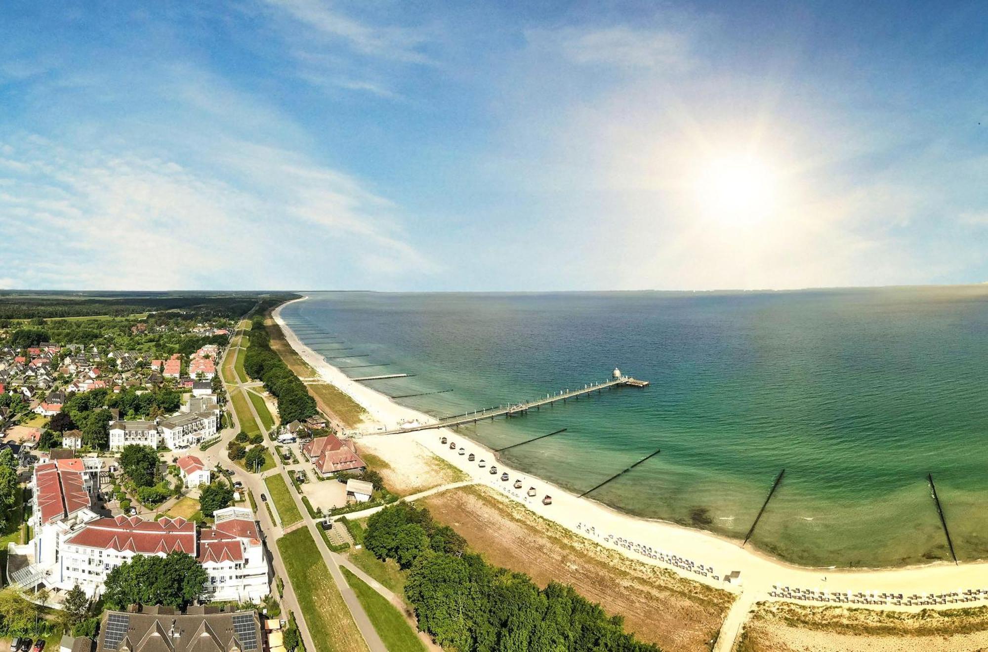 Seehund an der Ostsee Ostseeheilbad Ostseeheilbad Zingst Exterior foto